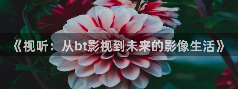 久久久久久久国产精品影院