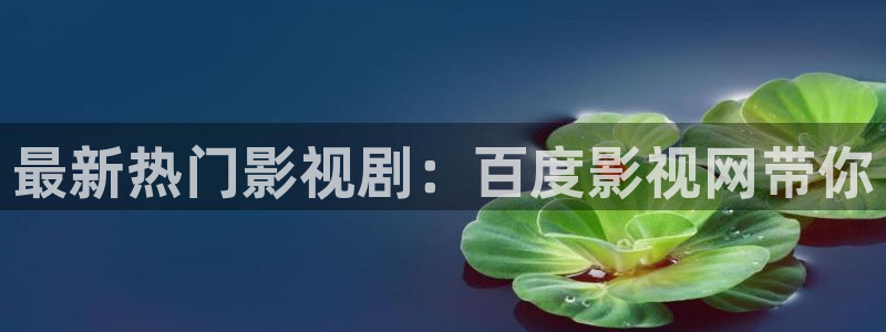 久久久久久影视