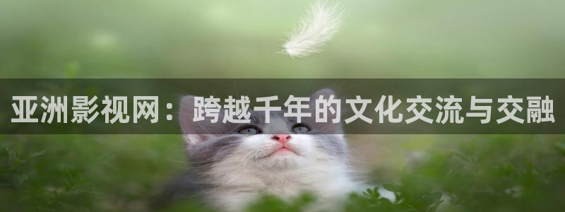 国产午夜免费高清久久影院